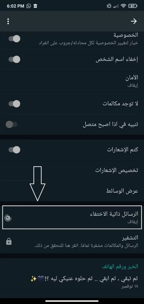 ميزة الرسائل ذاتية الاخفاء في وتساب الذهبي